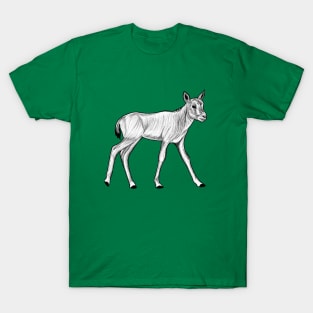 Arabian oryx calf T-Shirt